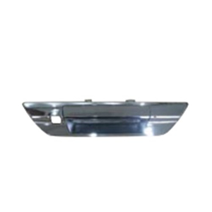 TAIL GATE HANDLE WITH HOLE